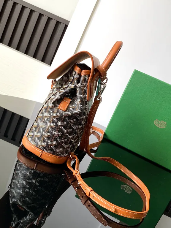 Goyard Bag 